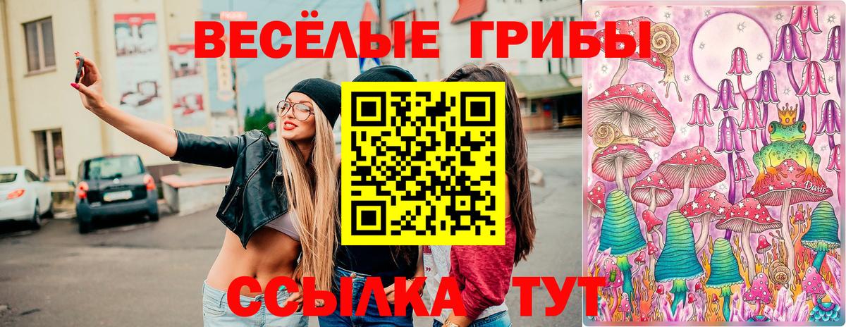 Галлюциногенные грибы Psilocybe Кубинка