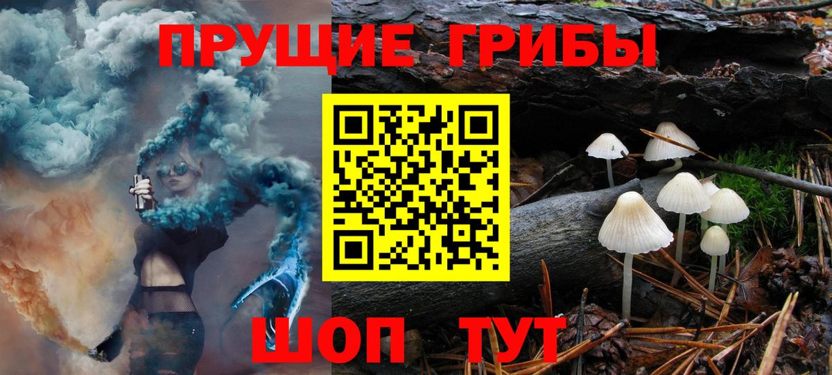 Кубинка  наркотики  Вход с VPN  Галлюциногенные грибы Psilocybine cubensis 
